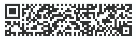 rMQR Code 2